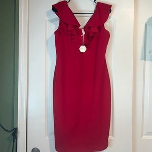 NWT Red Pinkblush maternity dress